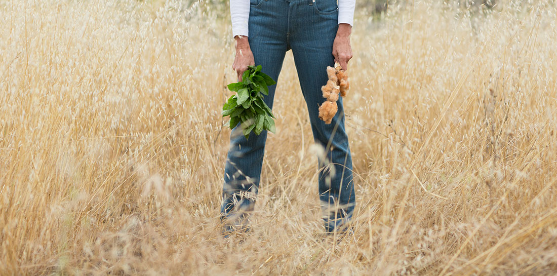 The 90-mile grown & sewn denim project: organic indigo + organic, no-GMO cotton jeans