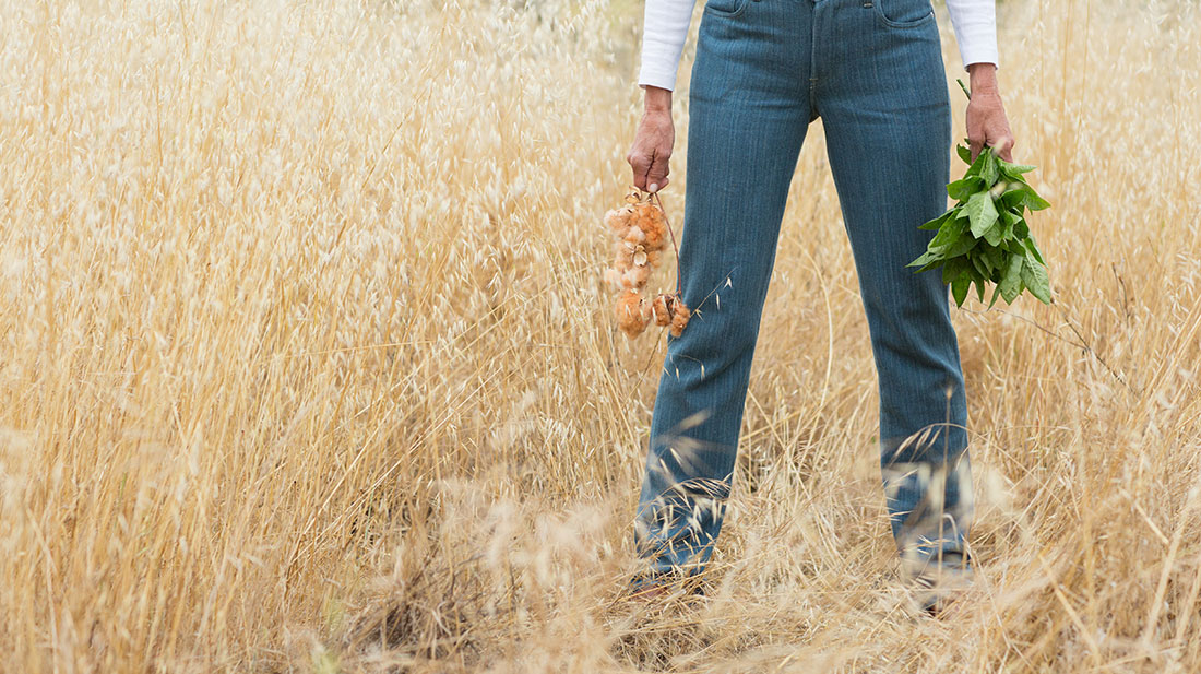 Organic indigo + organic, no-GMO cotton = compostable local jeans. Photo by Paige Green.