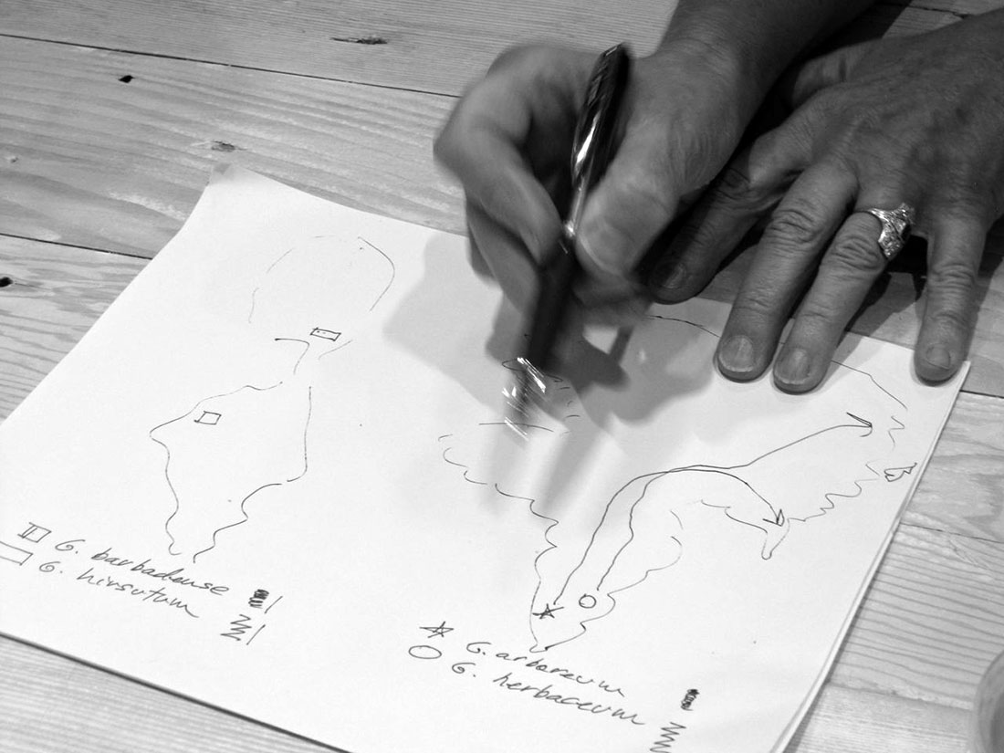 Sally drawing a map