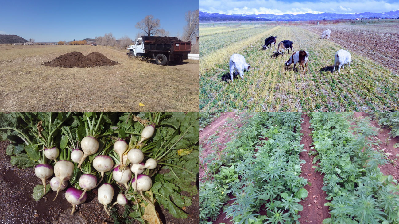 Agroecological systems at Rezolana Institute in Colorado